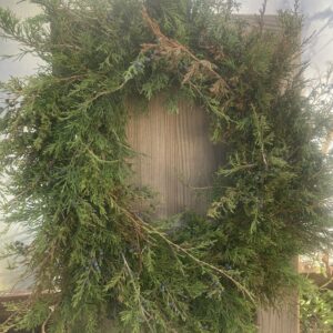 Medium Cedar Wreath